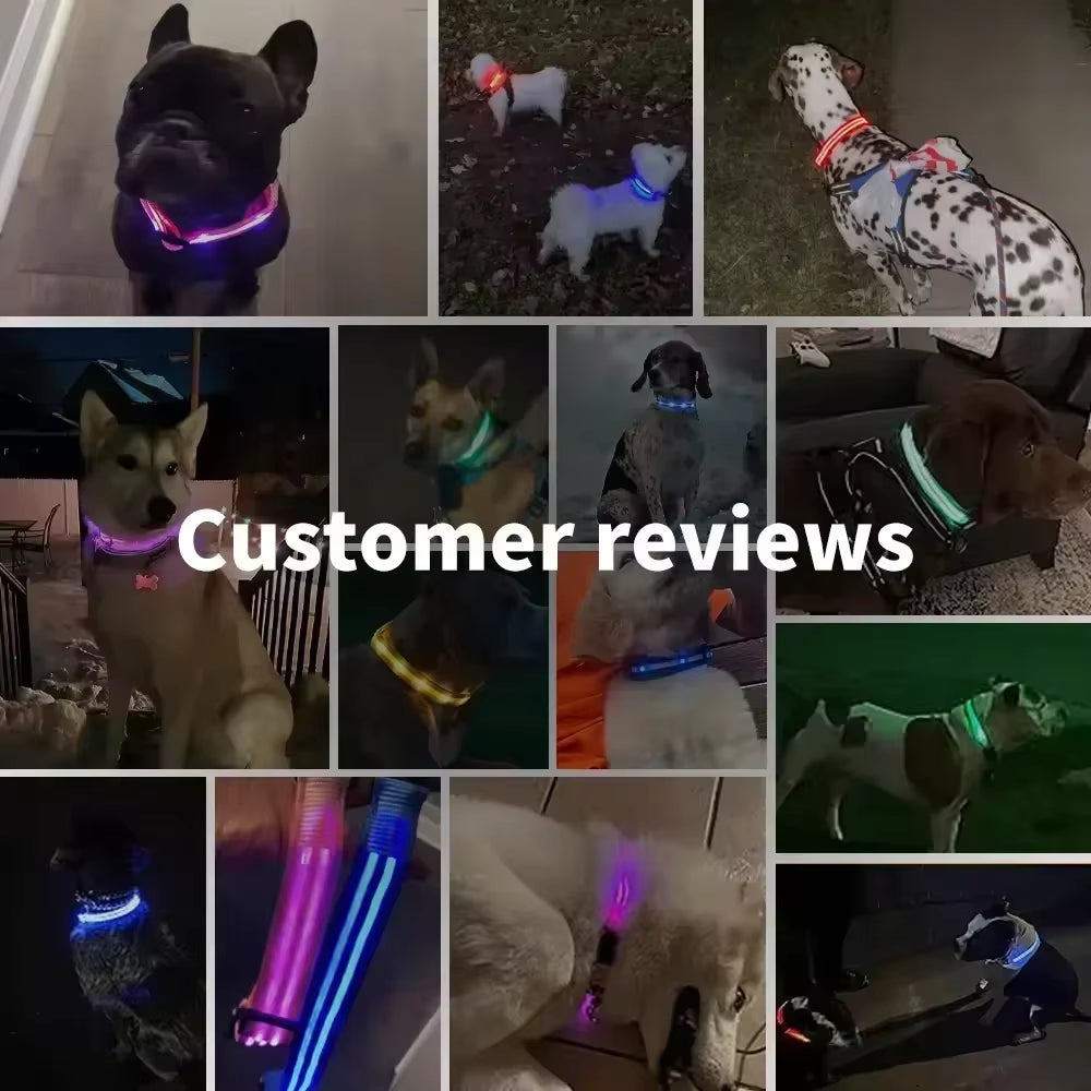 Rechargeable LED Dog Collar - Waterproof, Adjustable Night Light with 6 Flashing Modes for Safety & Visibility