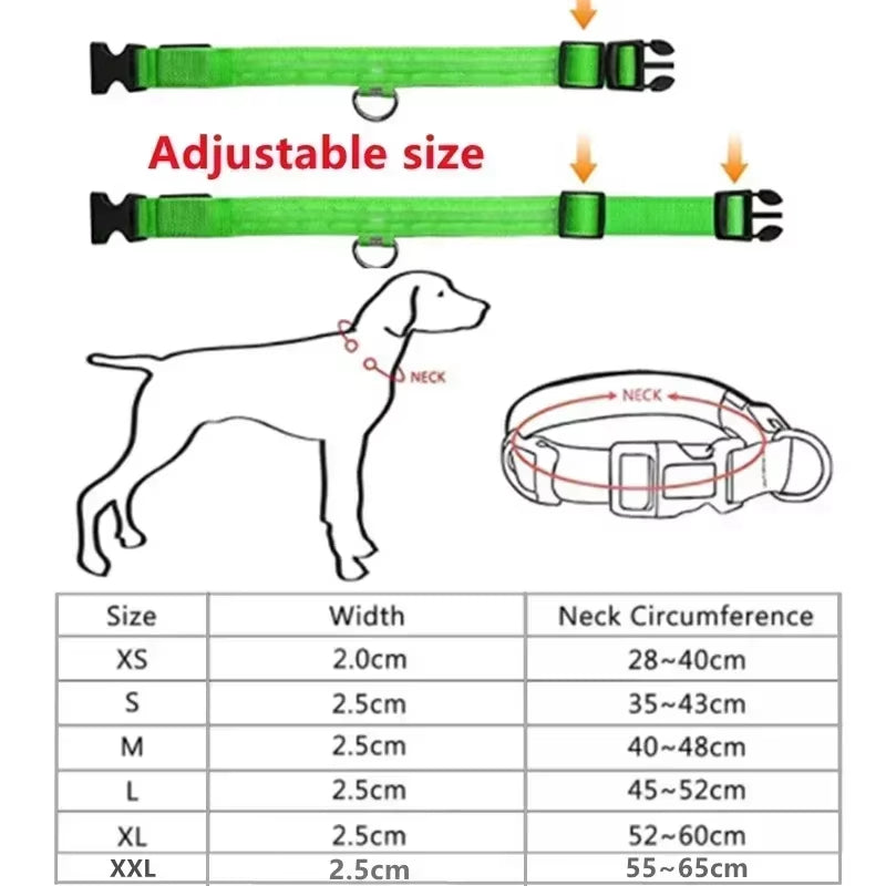 Rechargeable LED Dog Collar - Waterproof, Adjustable Night Light with 6 Flashing Modes for Safety & Visibility