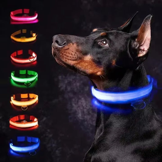 Rechargeable LED Dog Collar - Waterproof, Adjustable Night Light with 6 Flashing Modes for Safety & Visibility
