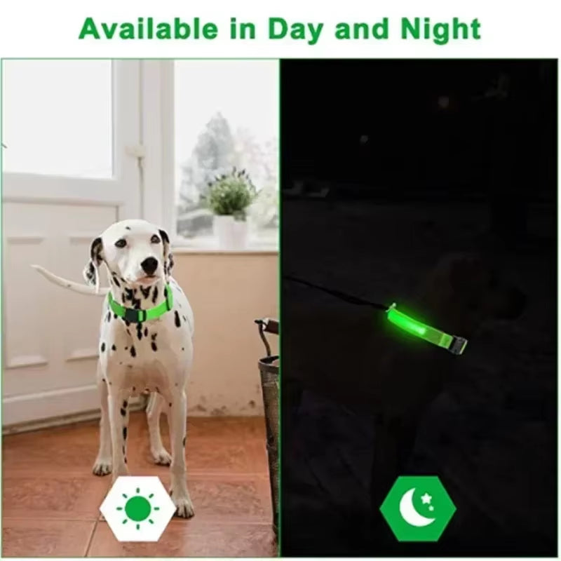 Rechargeable LED Dog Collar - Waterproof, Adjustable Night Light with 6 Flashing Modes for Safety & Visibility