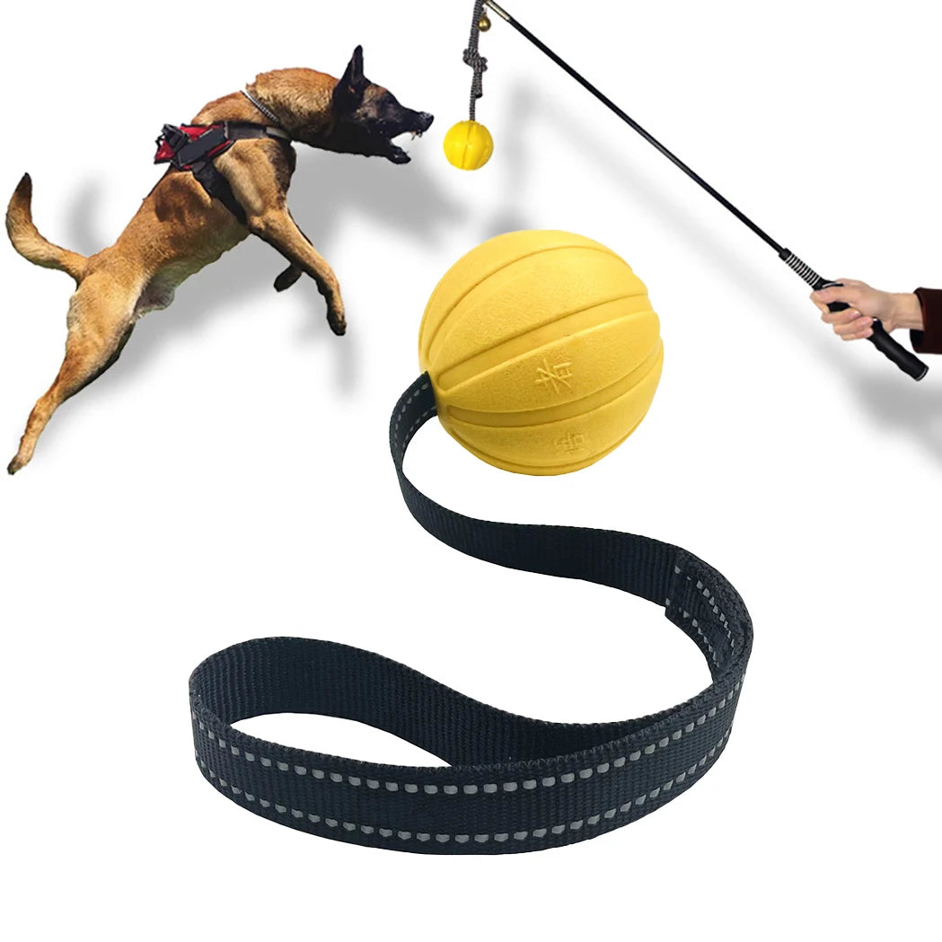 Durable Interactive Dog Toy Balls on a Rope - Perfect for Chewers of All Sizes, Floats & Ideal for Training!