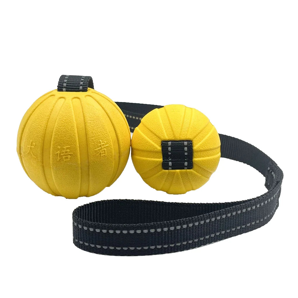 Durable Interactive Dog Toy Balls on a Rope - Perfect for Chewers of All Sizes, Floats & Ideal for Training!