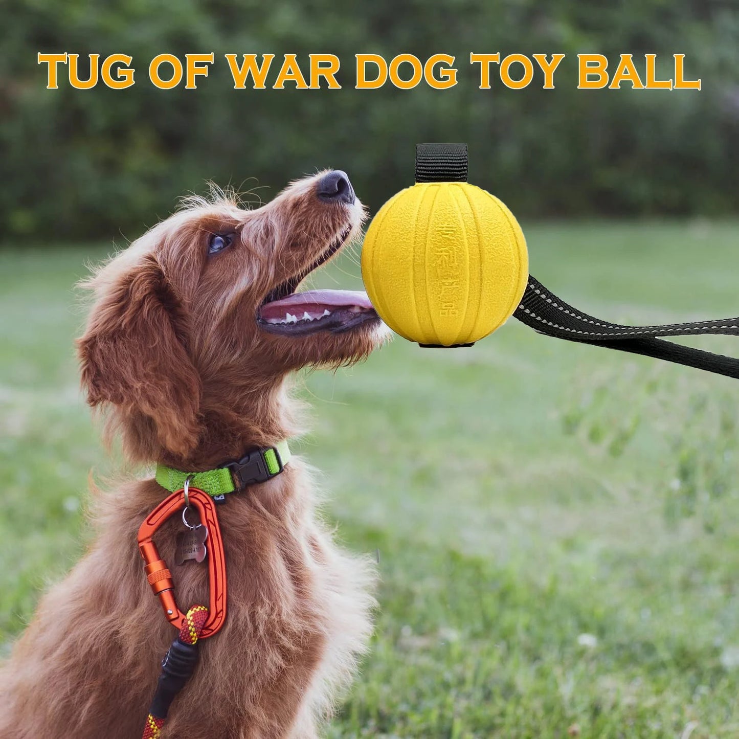 Durable Interactive Dog Toy Balls on a Rope - Perfect for Chewers of All Sizes, Floats & Ideal for Training!