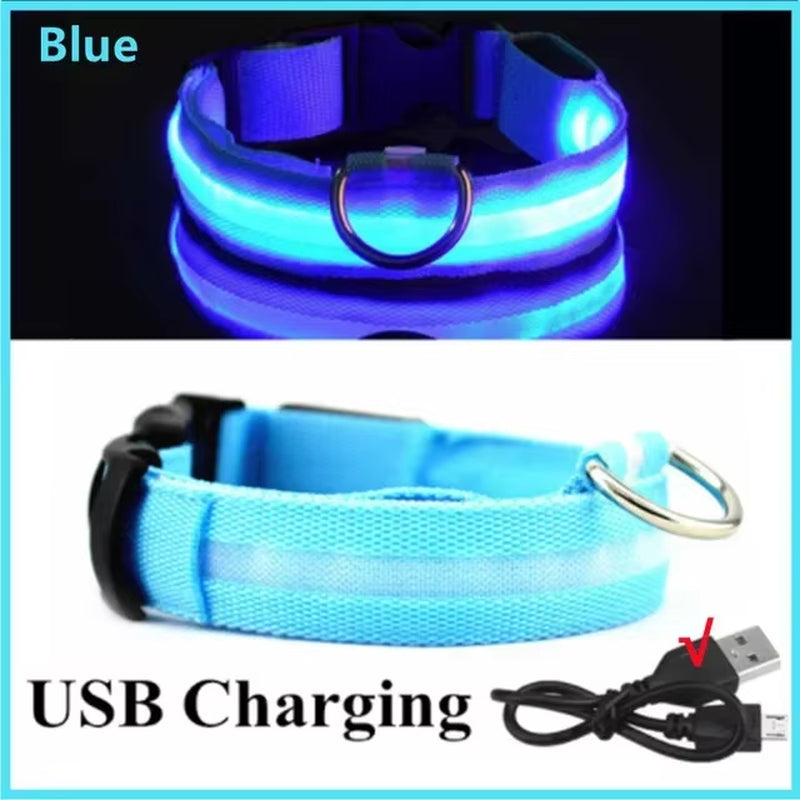Rechargeable LED Dog Collar - Waterproof, Adjustable Night Light with 6 Flashing Modes for Safety & Visibility