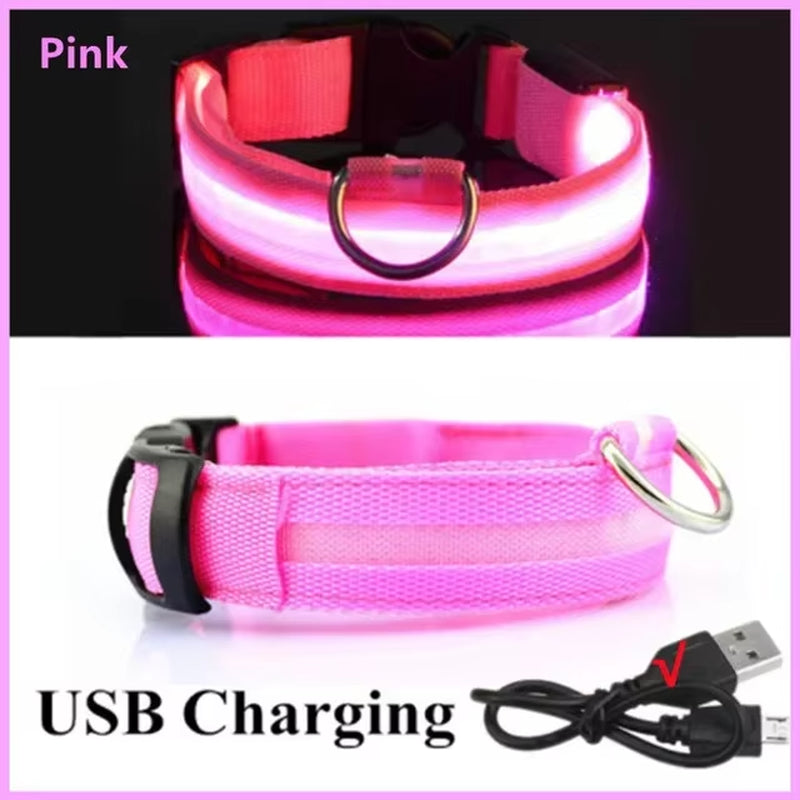 Rechargeable LED Dog Collar - Waterproof, Adjustable Night Light with 6 Flashing Modes for Safety & Visibility